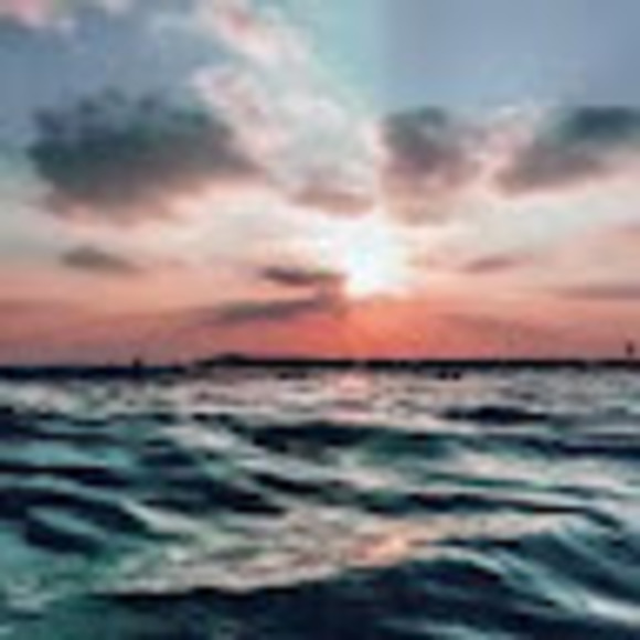 Meet your Posher, Makenna - Picture 1 of 1